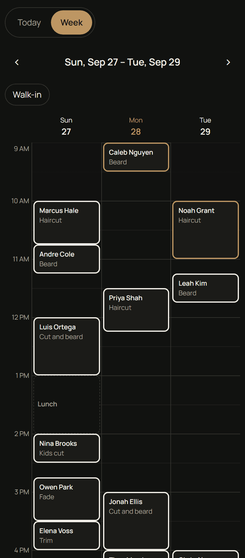 A three-day schedule with appointments across Sunday, Monday, and Tuesday, including a blocked lunch.